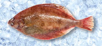 hokifilet-sewe-frost